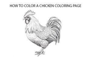How To Color Chicken Coloring Page 