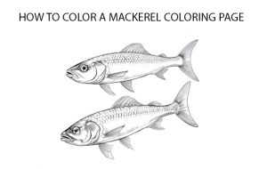 How To Color A Mackerel Coloring Page