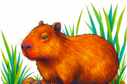 Capybara
