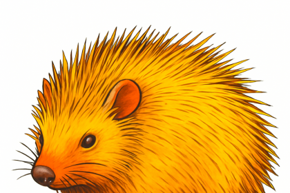 Porcupine