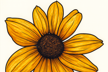 Black eyed susan