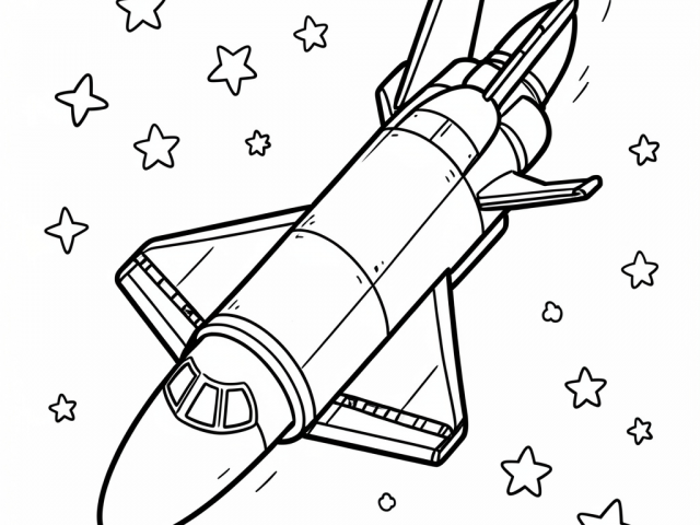Space Shuttle (9)